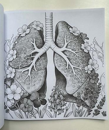 тексты: Анатомическая раскраска Human Anatomy Coloring Book для взрослых😻🫀 — 4