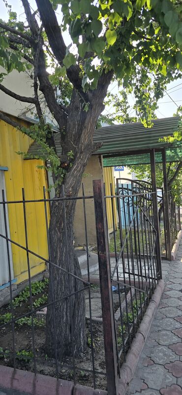 готовый бизнес кара балта: Сдам помещение под любой бизнес ( кроме кухни ) отличная локация