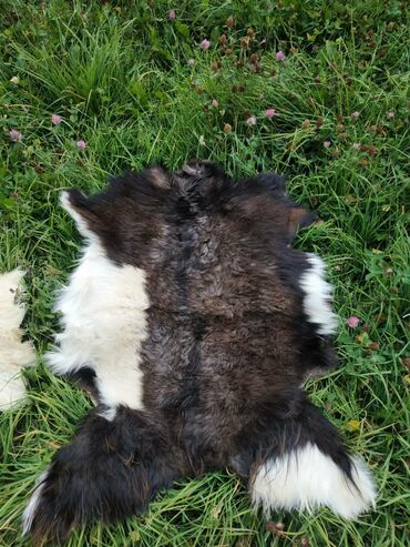 Ковры и паласы: Ковер Новый, Мех, Безналичная/наличная оплата at lalafo.kg — 2 Ковры и паласы: Ковер Новый, Мех, Безналичная/наличная оплата — 2