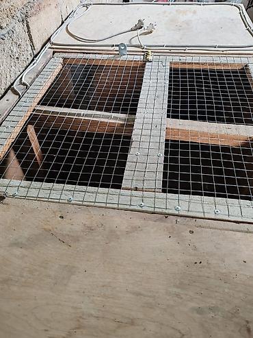 İnkubatorlar: Taxta inkubator/qızdırılan brooder qutusu - Material: fanera taxta — 9