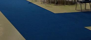 Xalçalar: Xalça Qoruyucu, Kredit yoxdur — 16