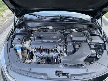 Kia: Kia Optima: 2019 г., Автомат, Бензин, Седан — 11