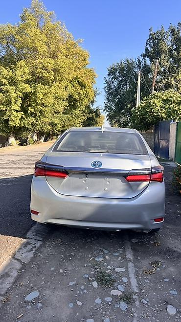 toyota corolla axio: Toyota Corolla: 2019 г., 1.8 л, Вариатор, Гибрид, Седан — 4