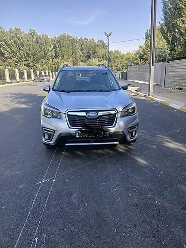 forester sti: Subaru Forester: 2020 г., 2.5 л, Вариатор, Бензин, Кроссовер — 3