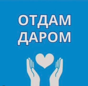 возьму даром детскую коляску: Отдаю даром разные вещи, детская одежда мужская одежда