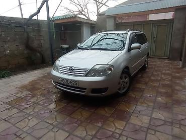 corolla fara: Toyota Corolla: 1.4 l | 2006 il Universal — 10