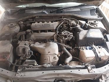 Toyota: Toyota Premio: 1997 г., 0.2 - engine capacity л, Автомат, Бензин, Седан — 5