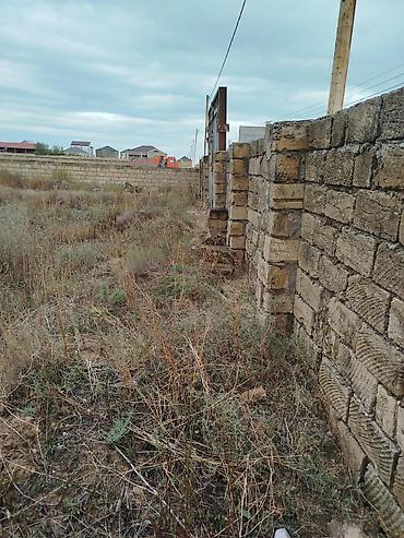 1 ha necə sotdur: 6 sot, Tikinti, Mülkiyyətçi, Kupça (Çıxarış) — 4