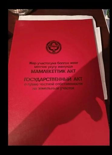 вагон нарын: 17 соток, Кызыл китеп — 1