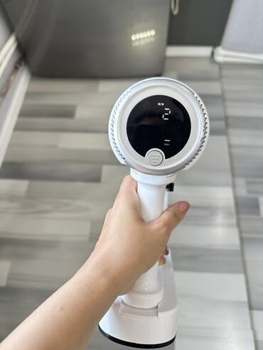 ev ucun soyducular: Tozsoran Philips, Quru təmizləmə, Pulsuz çatdırılma