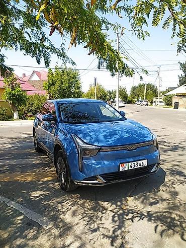 Hozon: Hozon Neta U-II: 2023 г., 1 л, Автомат, Электромобиль, Кроссовер — 2