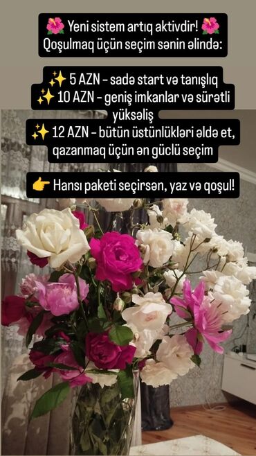 Başqa xidmətlər: Xidmət: Yeni sistemə qoşulma paketləri Seçimlər: - 5 AZN – sadə start
