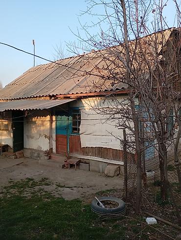 куплю сад: Продаю дом в селе Садовом — 1