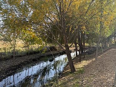 Продажа коттеджей и домов: 🔥 Отличный дом + фундамент под 2 дом + большой участок! Рядом с — 3