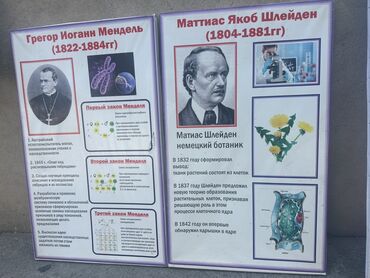 Биология: Набор учебных плакатов по биологии: «Грегор Иоганн Мендель