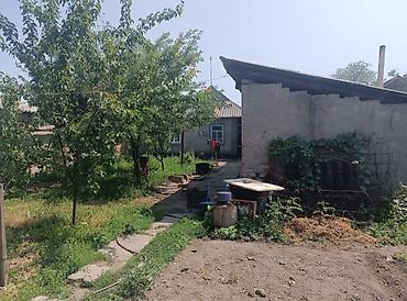 Продажа таунхаусов: 5 и более комнат, 9 м², 9 соток — 12
