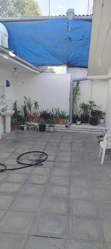 nerj cən satilir: Kupçalı. Bütün sənədlər qaydasındadır öz adımadır. Makler deyiləm — 4