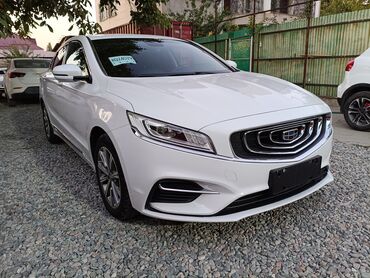 колпаки на гольф: Geely Borui: 2019 г., 1.5 л, Автомат, Электромобиль, Седан