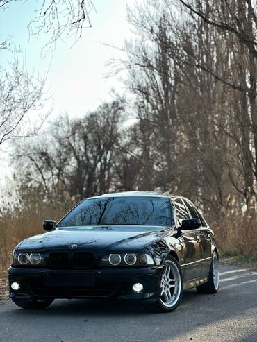 BMW: BMW 5 series: 2001 г., 2.5 л, Механика, Бензин, Седан — 4