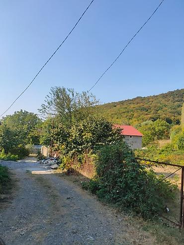 bina az buzovna: Tikinti, Mülkiyyətçi, Kupça (Çıxarış) — 3