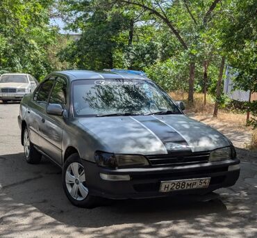 сколько стоит грецкий орех очищенный: Toyota Corolla хорошее состояние для продажи срочно нужны деньги