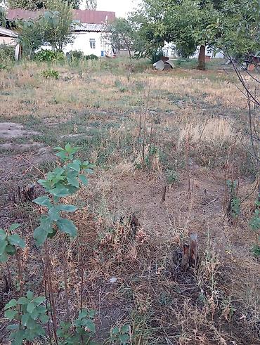 тендик участак: Продается участок село Таш-Дебе 12 соток на участке есть небольшой — 3