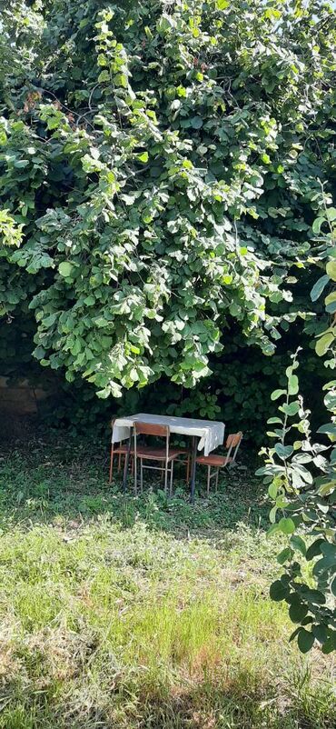 Günlük kirayə evlər: 120 kv. m, 4 otaqlı — 20