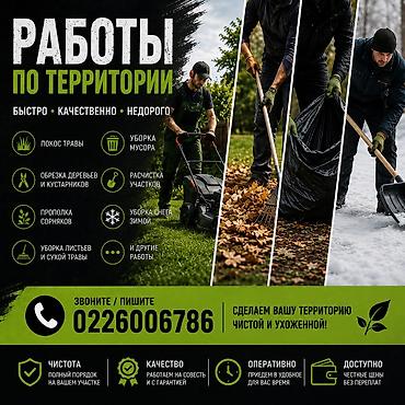 Клининговые услуги: Уборка территории, Уборка снега, Уход за деревьями, Уборка двора и сада — 2