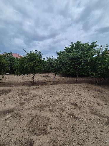 Həyət evləri və villaların satışı: 4 otaqlı, 200 kv. m, Kredit yoxdur, Orta təmir — 12