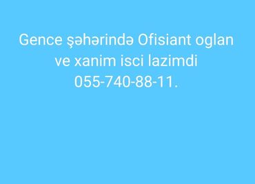 Ofisiantlar: Ofisiant tələb olunur, Kafe, Gündəlik ödəniş, İstənilən yaş, Təcrübəsiz