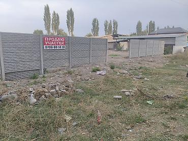 сокулук глобус: 22 соток — 1