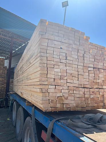 Доски: Лес — 3