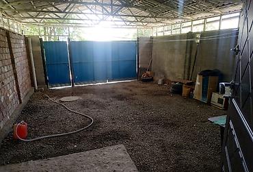 8: 3 комнаты, 55 м², 1 этаж, Косметический ремонт — 6