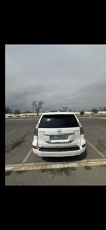 gx: Lexus GX: 2014 г., 4.6 л, Автомат, Бензин, Внедорожник — 2