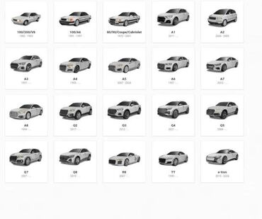 Auto servis, popravka vozila: Profesionalna tehnička baza podataka za automobile i laka komercijalna — 2