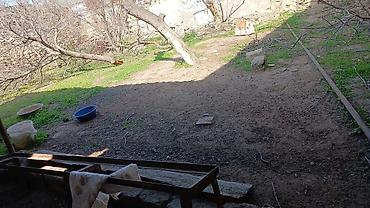 Torpaq sahələrinin satışı: Tikinti — 6