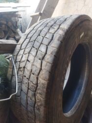 шины 2356516c: Продаются зимние шины. Состояние хорошее. 2штук 385/55/22,5 4 штук