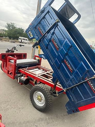 Мотороллеры муравей: Мотороллер муравей Бензин, 70 км, 1000 - 1499 кг, Новый — 20