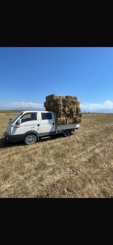 матор на портер: Легкий грузовик, Hyundai, Дубль, 2 т