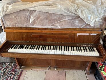 Pianolar: Piano, Belarus, Akustik, İşlənmiş, Ünvandan götürmə