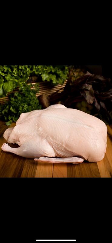 мясо отход: Продаем мясо домашней утки Выращенная на экологически чистом корме