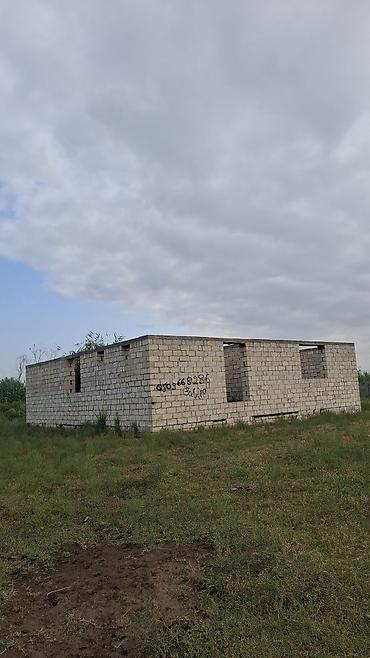 oğuz ev: 3 otaqlı, 12 kv. m, Kredit yoxdur, Təmirsiz — 1