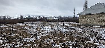 Həyət evləri və villaların satışı: Torpaq sahəsi və həyət evi 12 sot torpaq şəki şəhəri, kudurlu kendi — 4