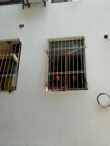 Dekor məhsulları: Dekor məhsulları — 21