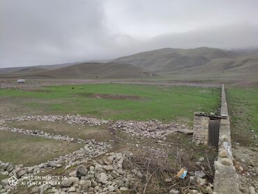 Kommersiya daşınmaz əmlakının satışı: Xızı rayonu,fındığan kəndiferma satıram -2 hektar25 tonluq su — 8