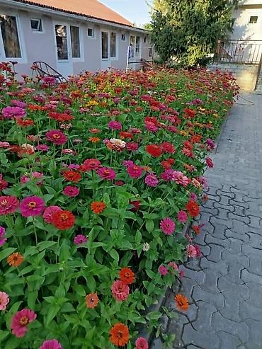 Иссык-Куль 2026: Номер, НЕПТУН Парковка, стоянка, Футбольное поле, Охраняемая территория — 3