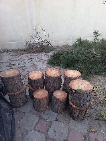 рулонный газон бишкек: Дрова Сосна — 1