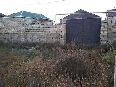 naxçıvan: 4 sot, Kənd təsərrüfatı, Mülkiyyətçi, Kupça (Çıxarış) — 3