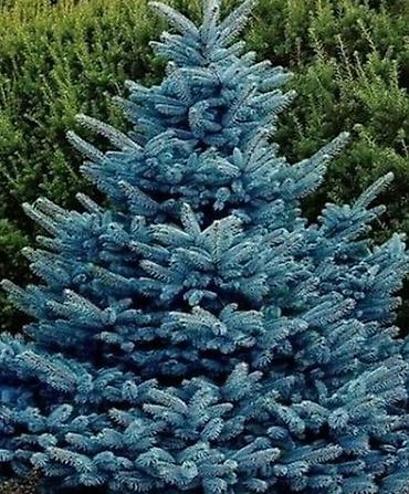 Дизайн, проектирование: Дизайн, Проектирование | Дома — 13