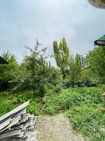 Продажа коттеджей и домов: Уй сатылат Исфана (Раззаков) шаарынан жаны-Абад Самат-садыков 17 at lalafo.kg — 9 Продажа коттеджей и домов: Уй сатылат Исфана (Раззаков) шаарынан жаны-Абад Самат-садыков 17 — 9